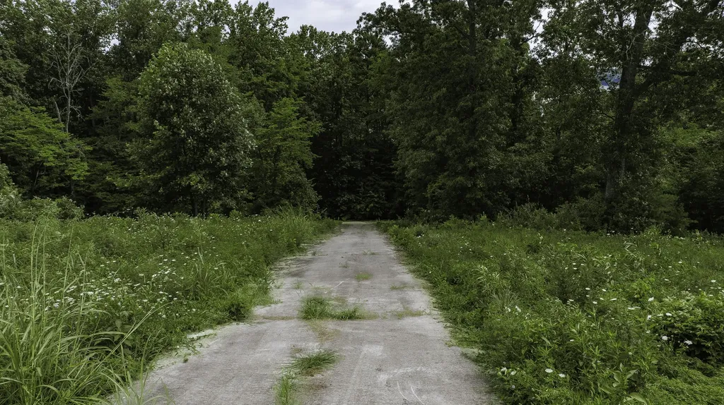 516 Colson Drive Bronston KY 42518