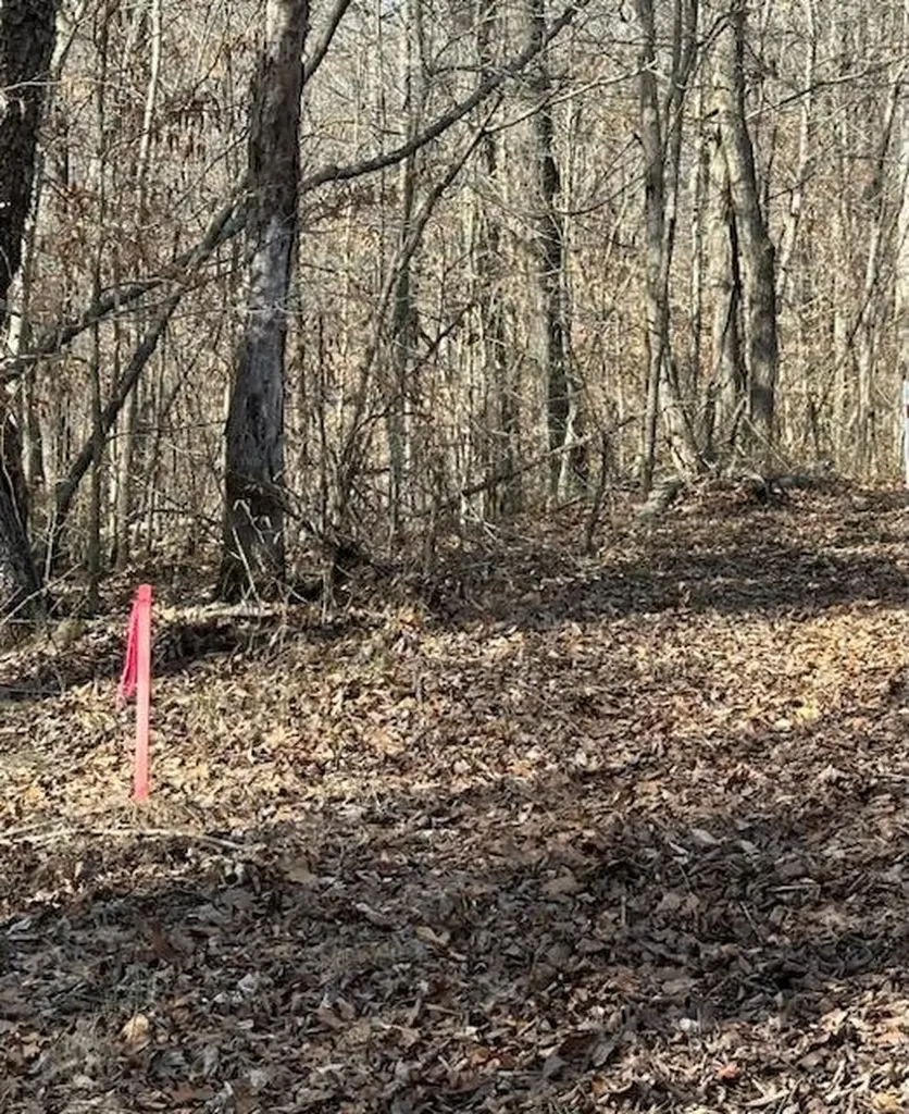 1748 Denny Ridge Road Nancy KY 42544
