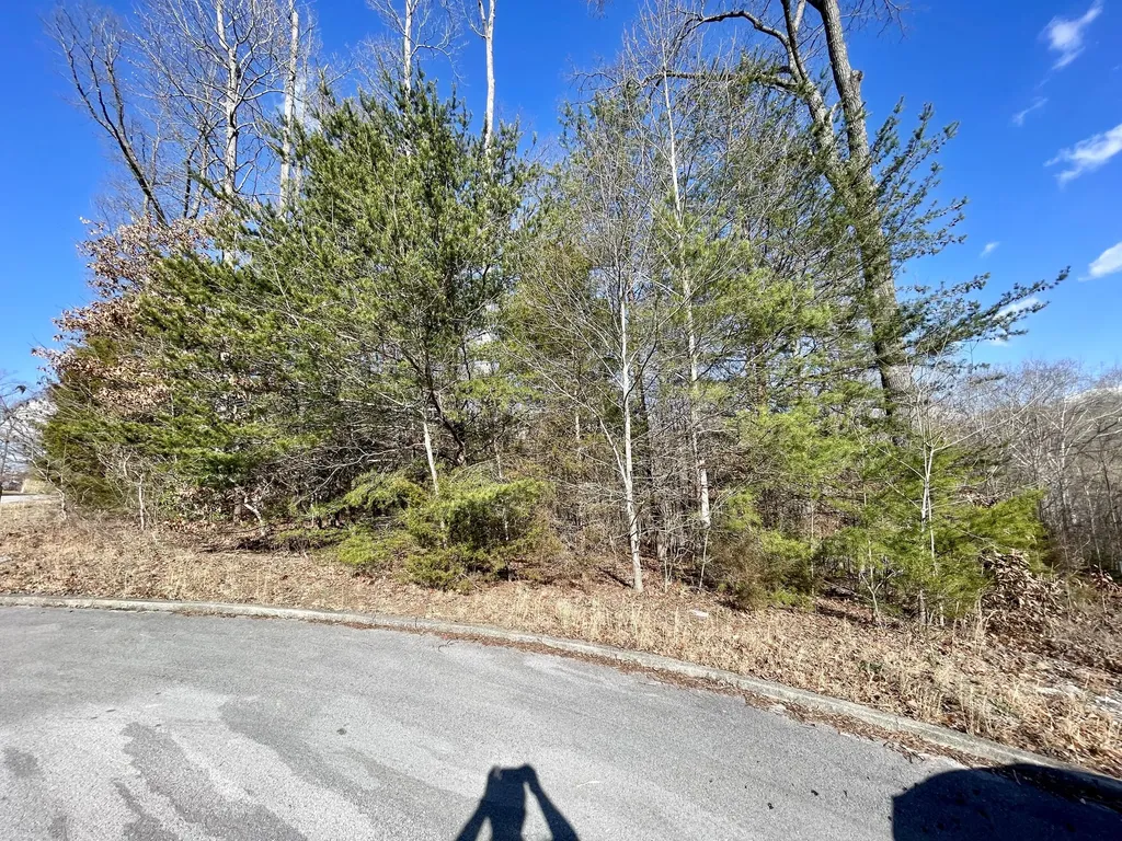 745 Water Cliff Drive Somerset KY 42503