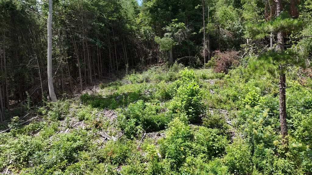 999 Lick Fork Road London KY 40741
