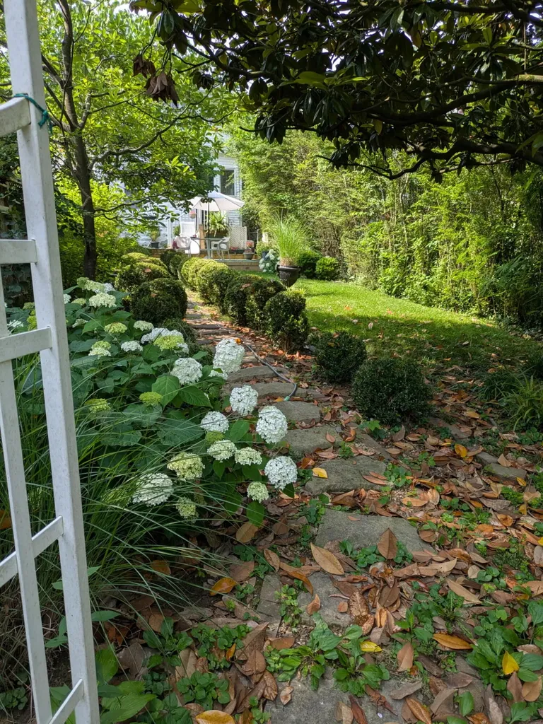 214 W Campbell Street Frankfort KY 40601