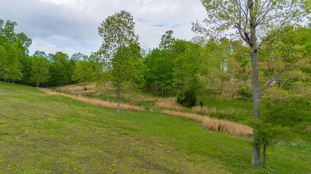 88 Eleanor Drive Gilbertsville KY 42044