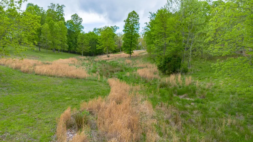 88 Eleanor Drive Gilbertsville KY 42044