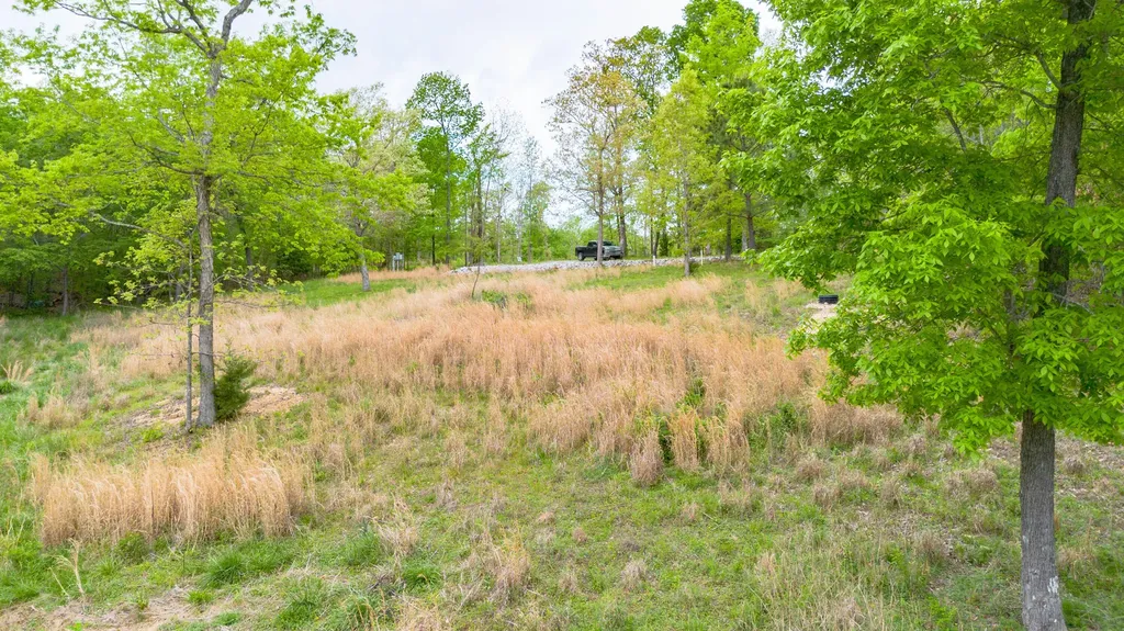 88 Eleanor Drive Gilbertsville KY 42044