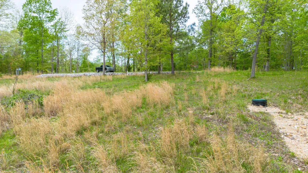 88 Eleanor Drive Gilbertsville KY 42044