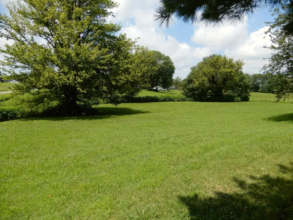 1875 State Route 384 Mayfield KY 42066