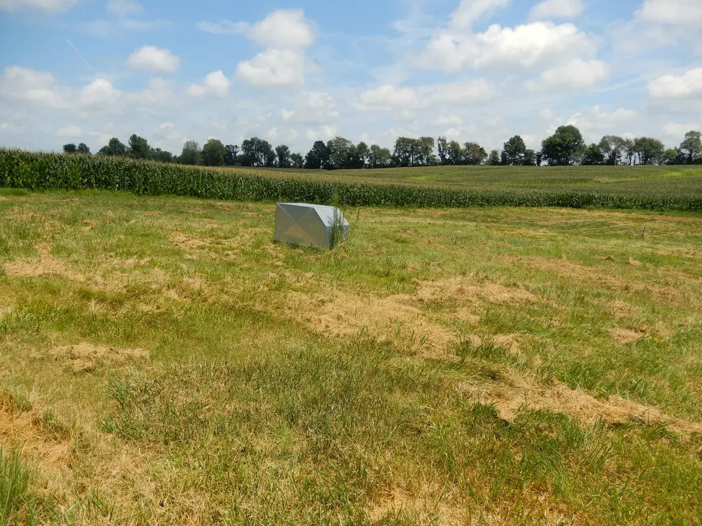 1875 State Route 384 Mayfield KY 42066