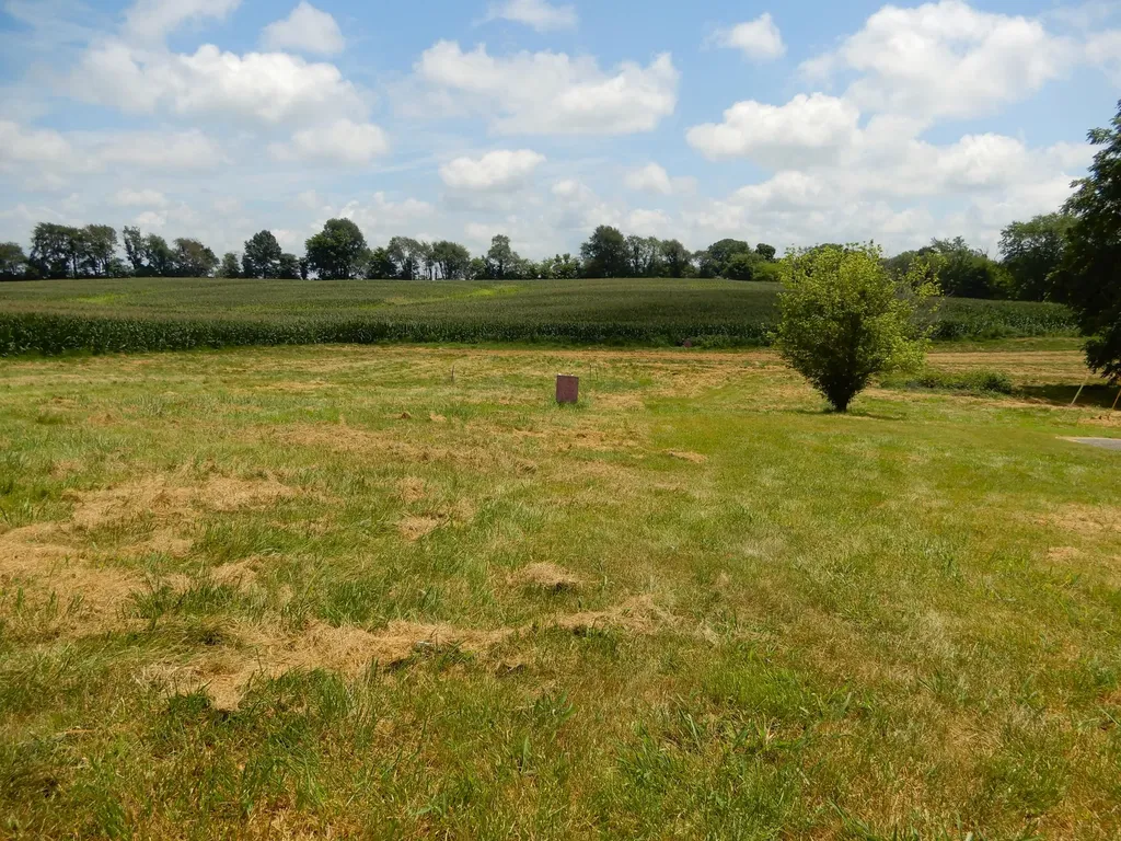 1875 State Route 384 Mayfield KY 42066