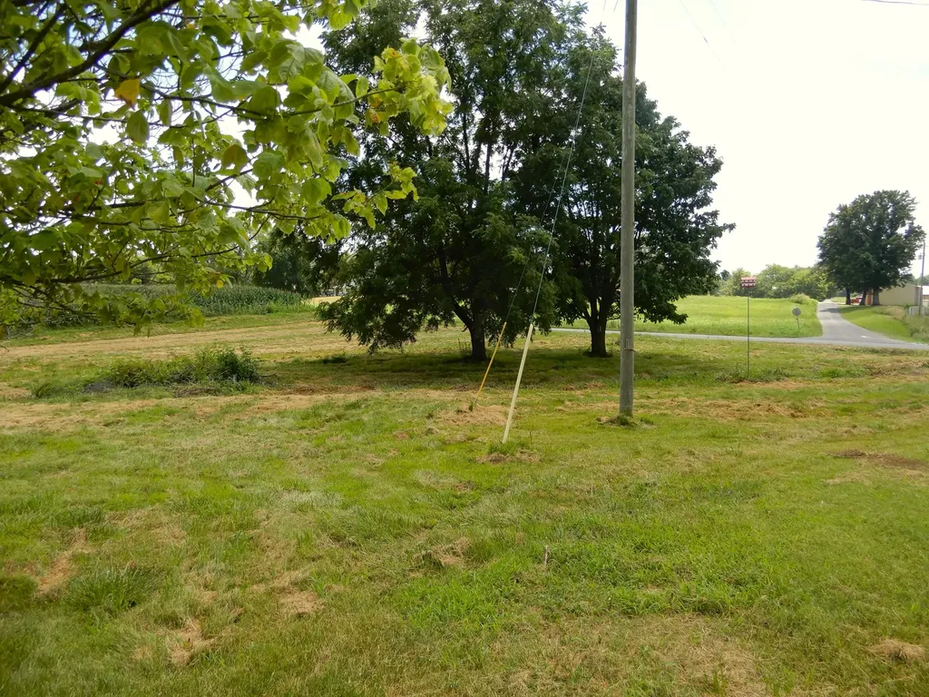 1875 State Route 384 Mayfield KY 42066