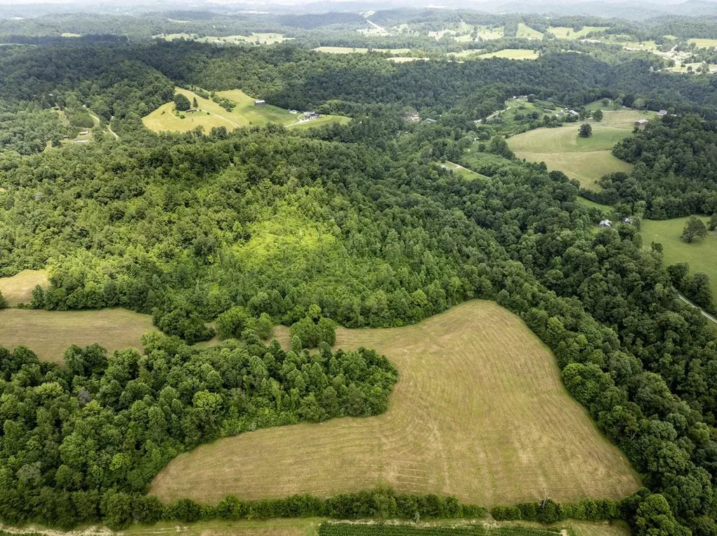 1990 State Highway 556 Sandy Hook KY 41171