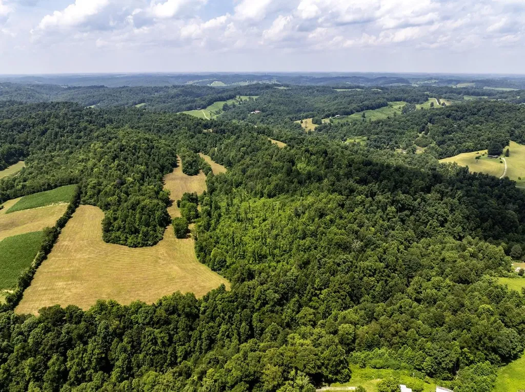 1990 State Highway 556 Sandy Hook KY 41171