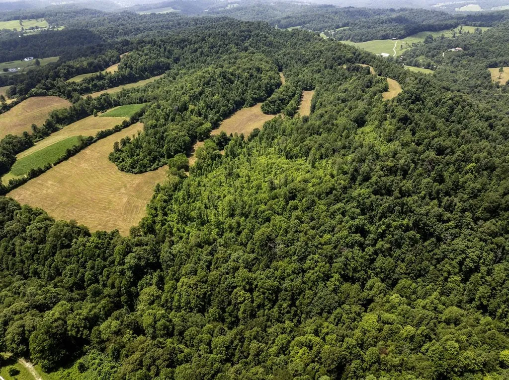 1990 State Highway 556 Sandy Hook KY 41171