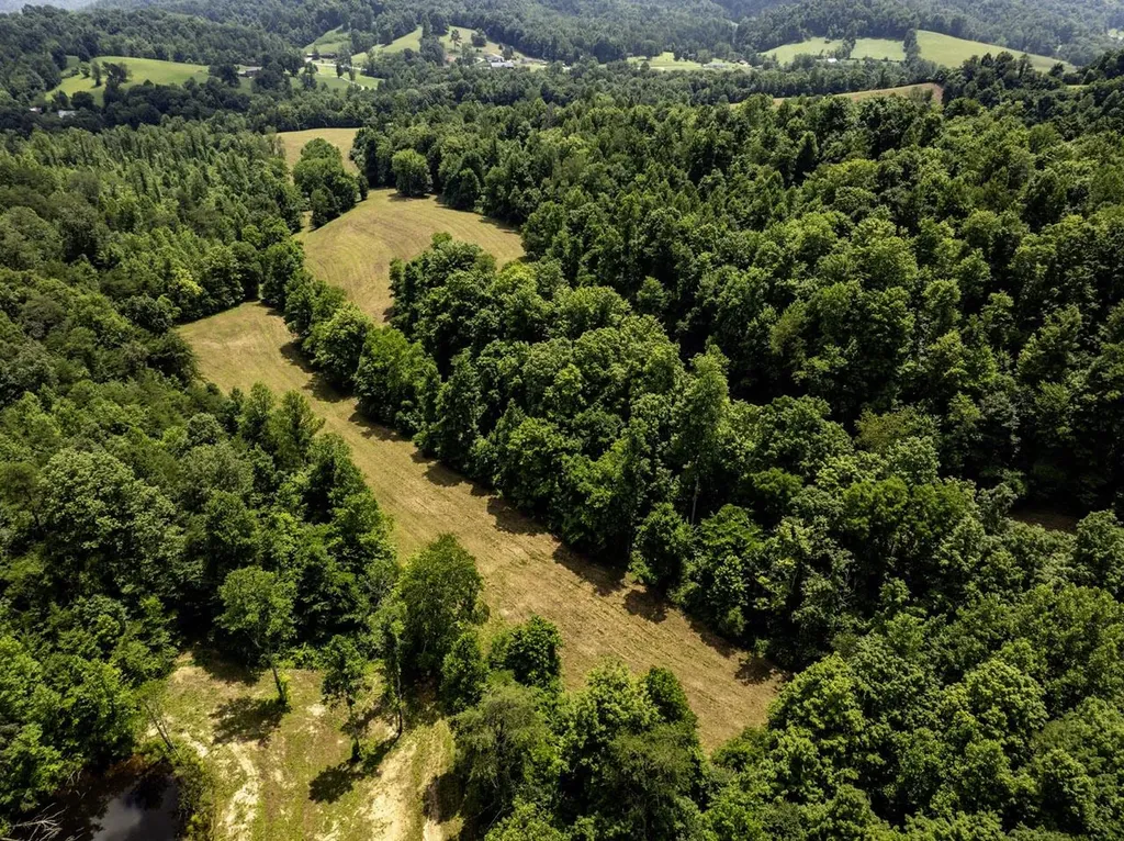 1990 State Highway 556 Sandy Hook KY 41171