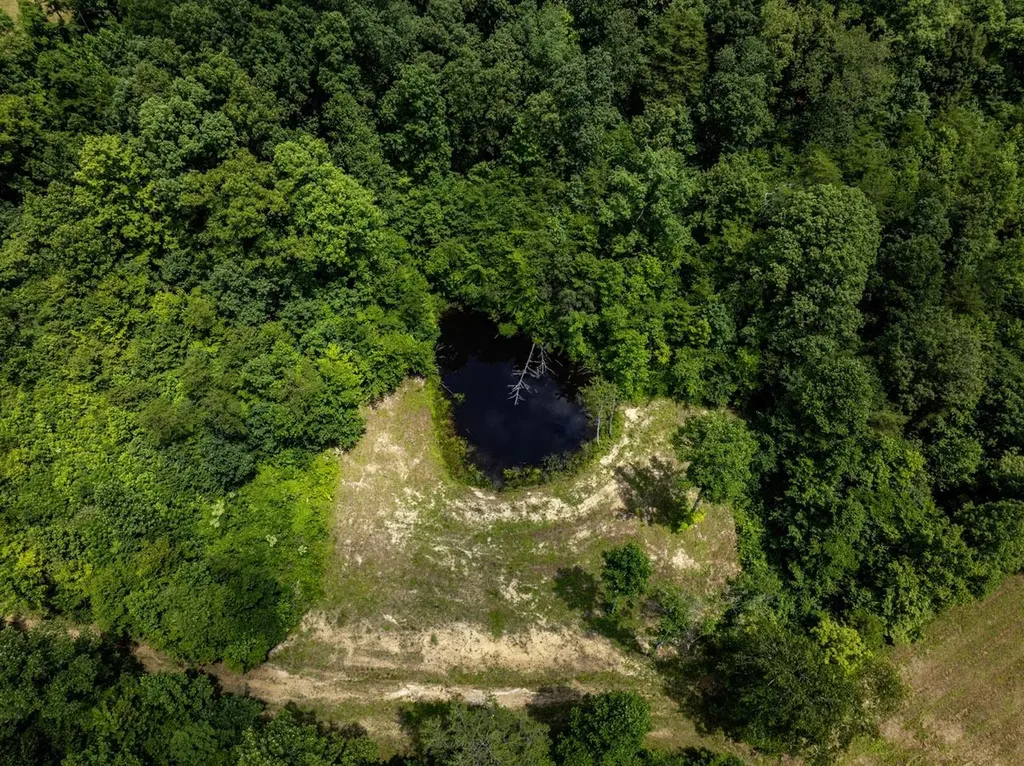 1990 State Highway 556 Sandy Hook KY 41171