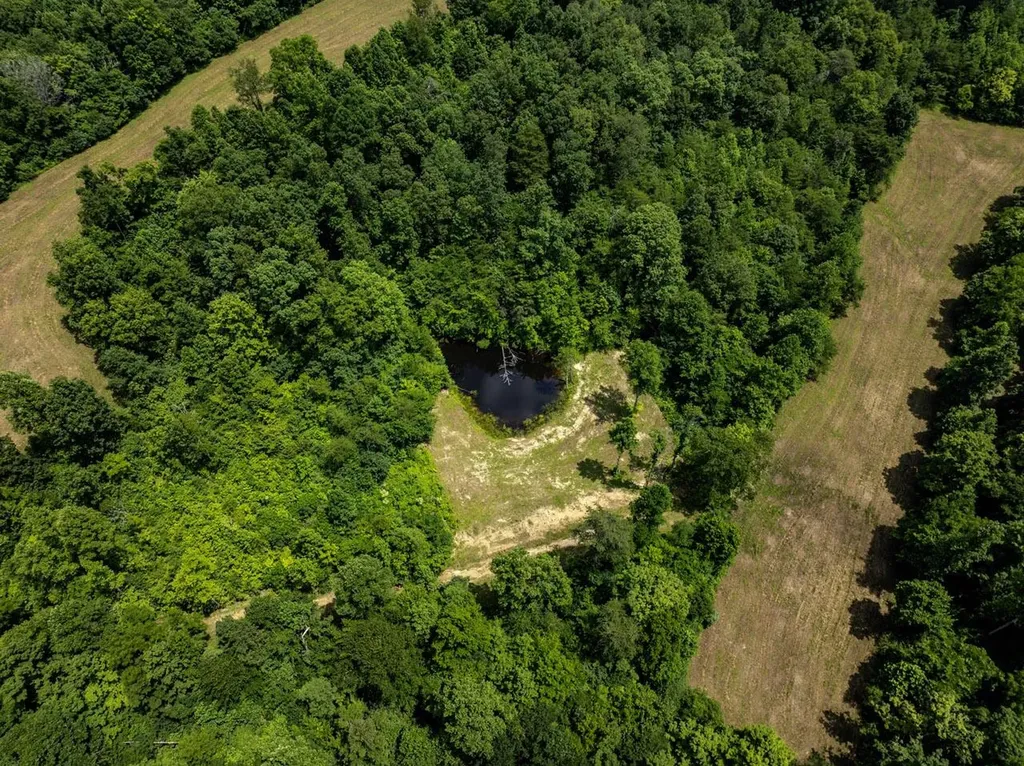 1990 State Highway 556 Sandy Hook KY 41171