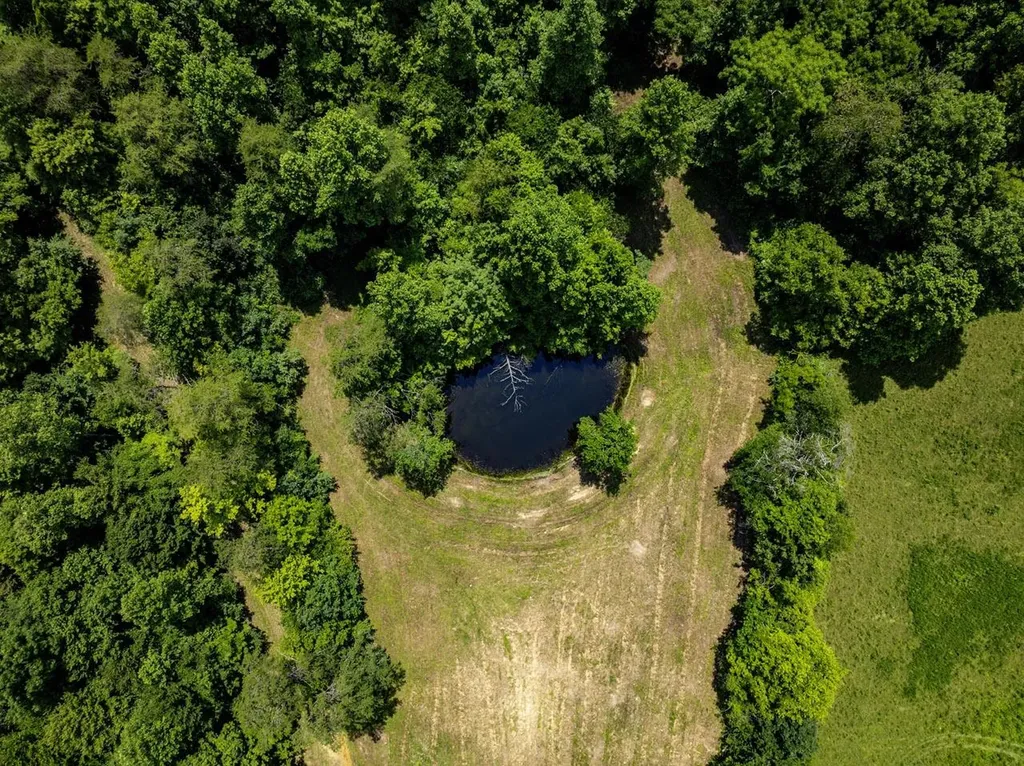 1990 State Highway 556 Sandy Hook KY 41171
