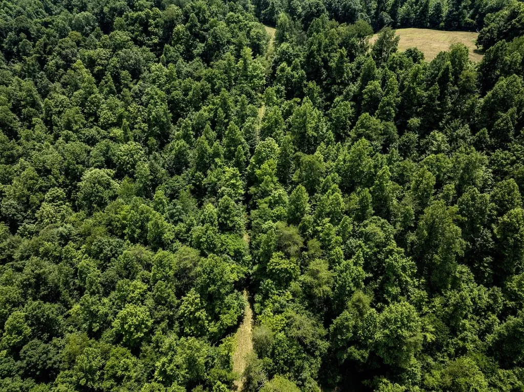 1990 State Highway 556 Sandy Hook KY 41171