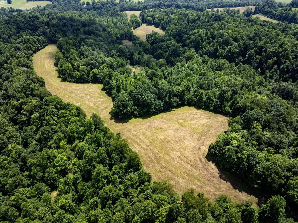 1990 State Highway 556 Sandy Hook KY 41171