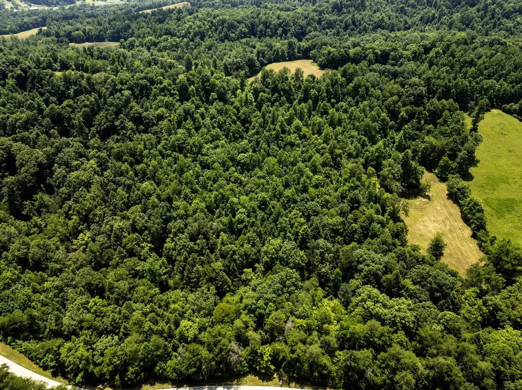 1990 State Highway 556 Sandy Hook KY 41171