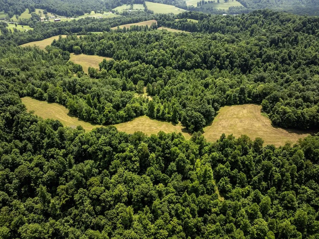1990 State Highway 556 Sandy Hook KY 41171