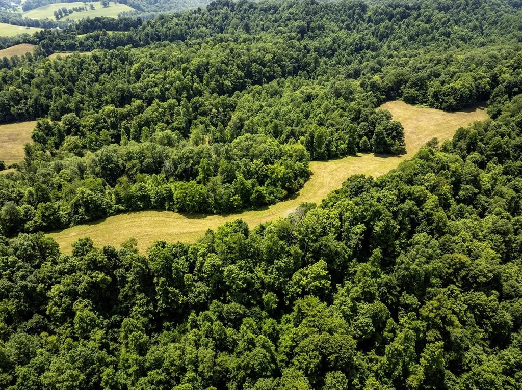 1990 State Highway 556 Sandy Hook KY 41171