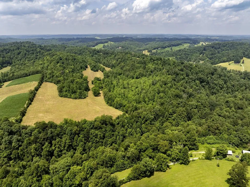 1990 State Highway 556 Sandy Hook KY 41171
