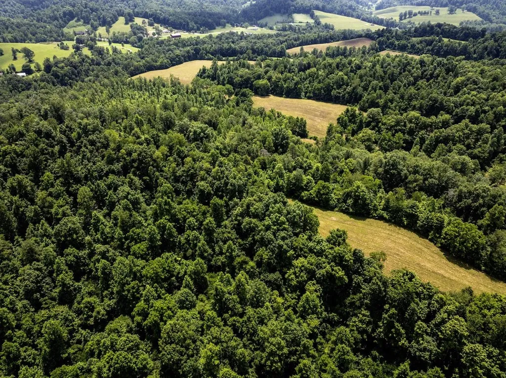 1990 State Highway 556 Sandy Hook KY 41171