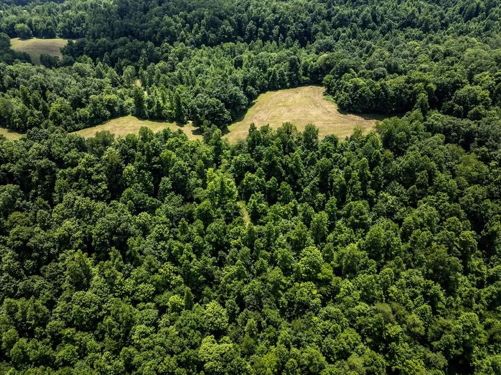 1990 State Highway 556 Sandy Hook KY 41171