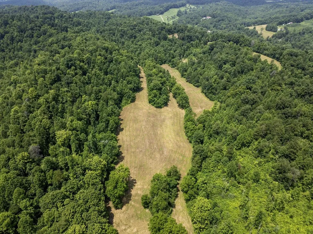 1990 State Highway 556 Sandy Hook KY 41171