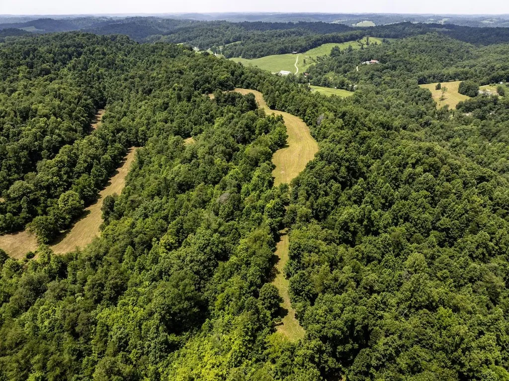 1990 State Highway 556 Sandy Hook KY 41171