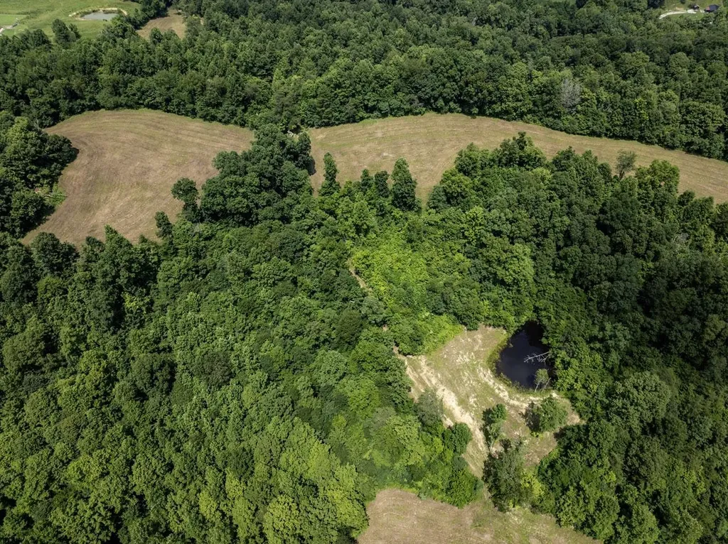 1990 State Highway 556 Sandy Hook KY 41171