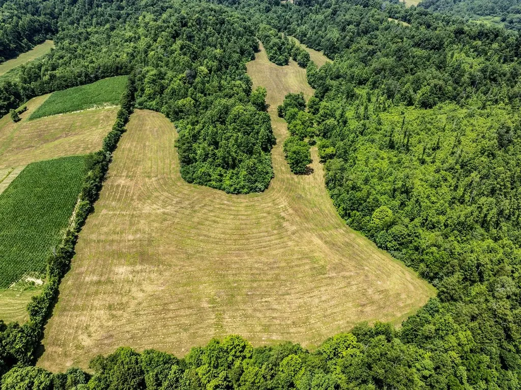 1990 State Highway 556 Sandy Hook KY 41171