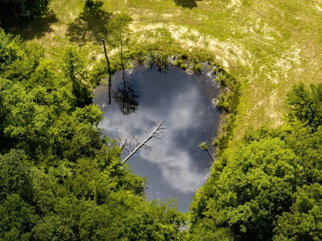 1990 State Highway 556 Sandy Hook KY 41171