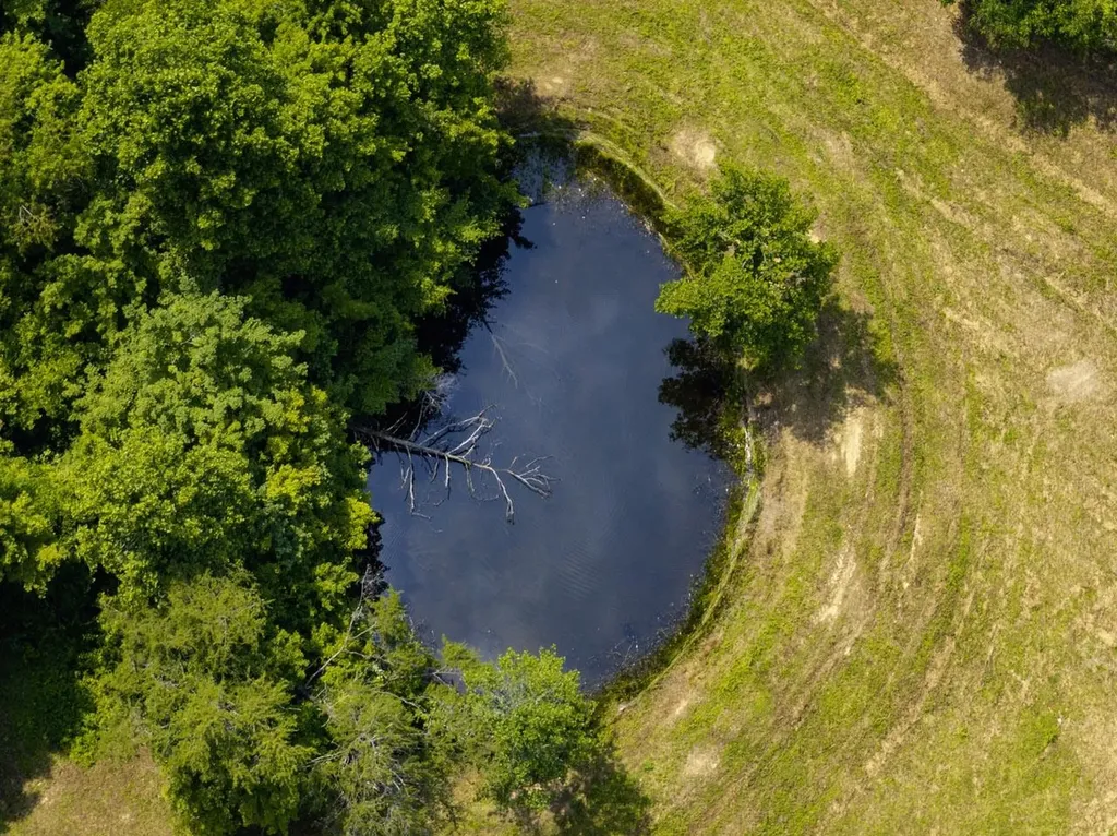 1990 State Highway 556 Sandy Hook KY 41171