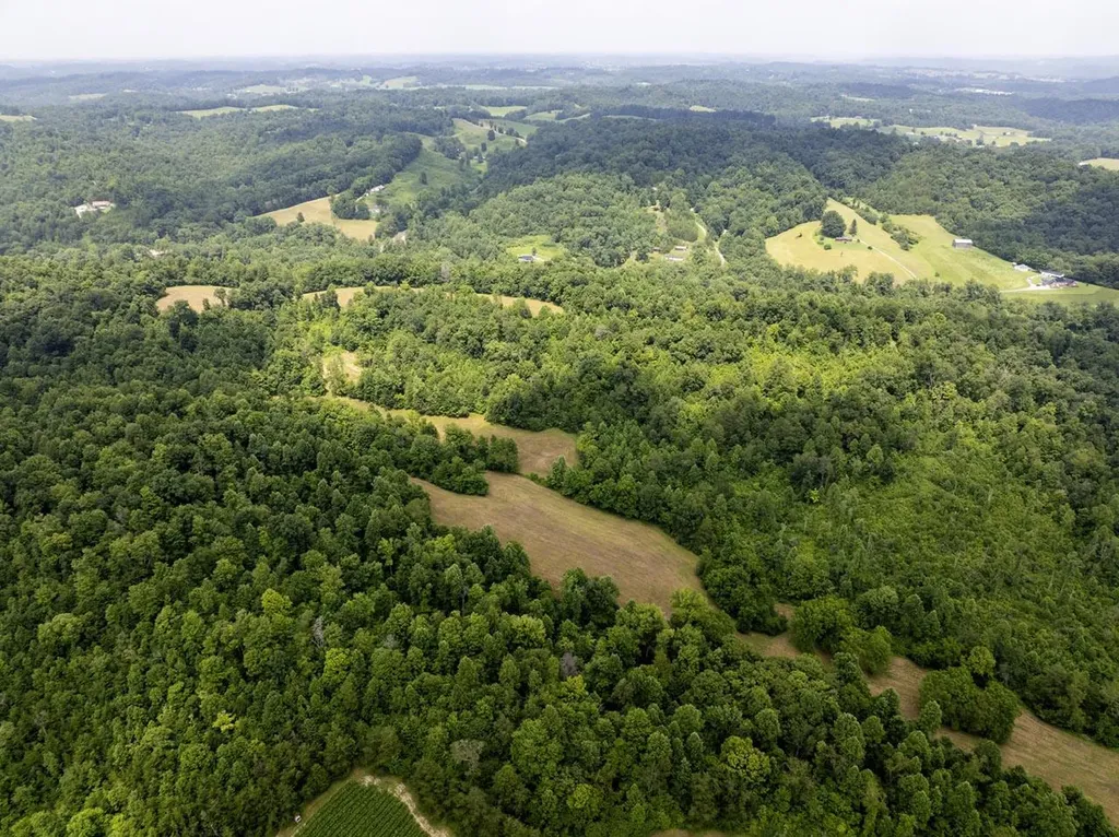 1990 State Highway 556 Sandy Hook KY 41171