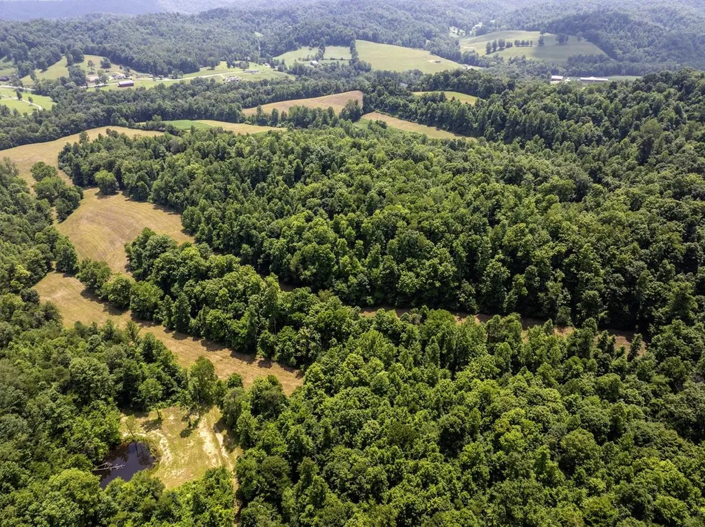1990 State Highway 556 Sandy Hook KY 41171