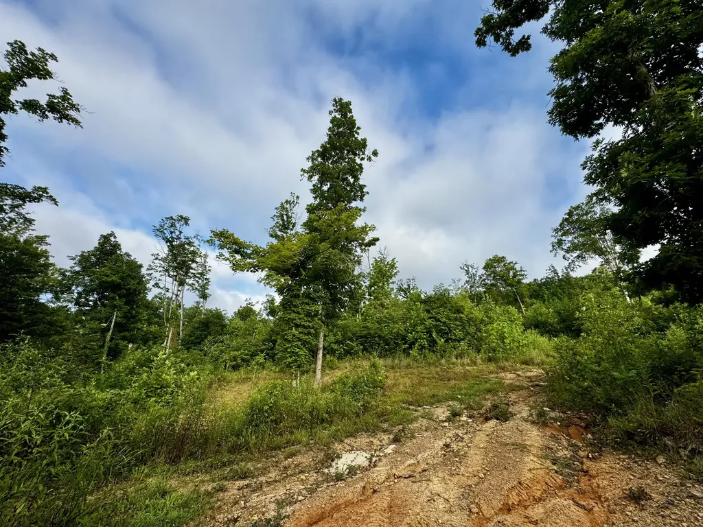Tr 3 Bend Of The Lakes Road Somerset KY 42501