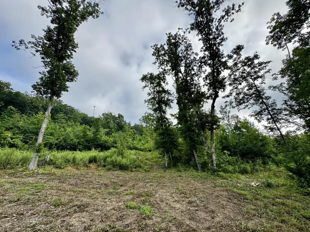 Tr 3 Bend Of The Lakes Road Somerset KY 42501