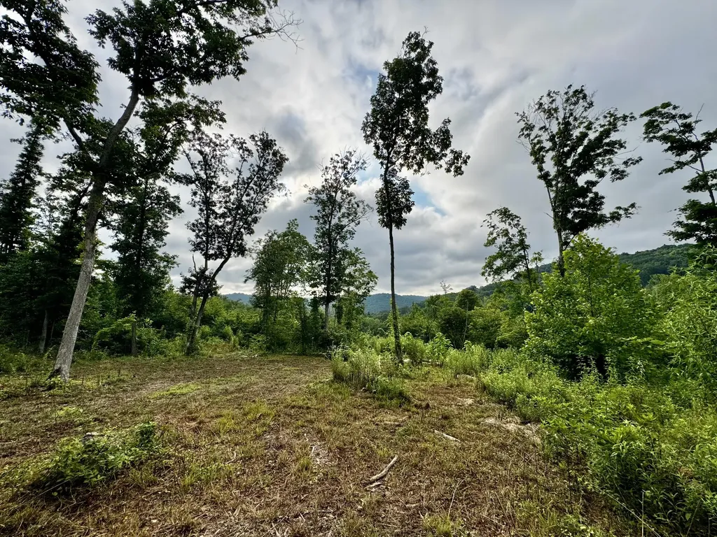 Tr 3 Bend Of The Lakes Road Somerset KY 42501
