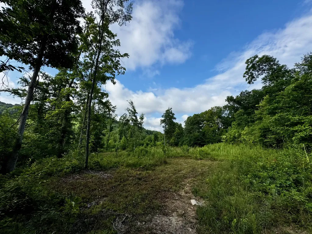 Tr 3 Bend Of The Lakes Road Somerset KY 42501