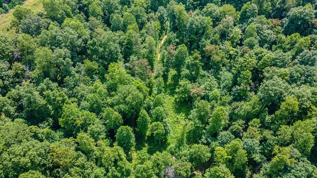 3152 Tipton Road Ravenna KY 40472
