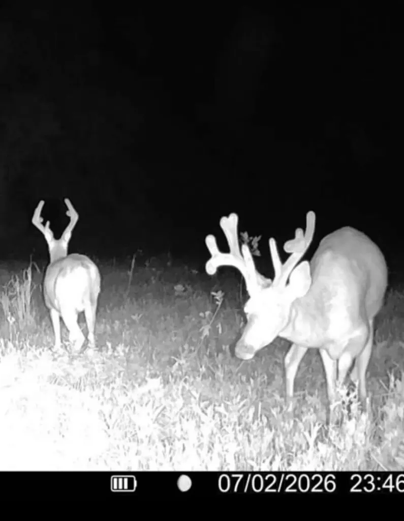 20533 Princeton Olney Road Princeton KY 42445