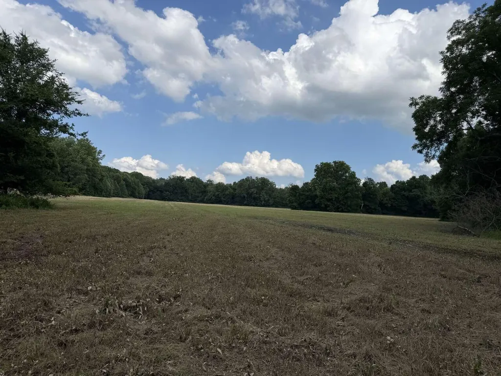 20533 Princeton Olney Road Princeton KY 42445