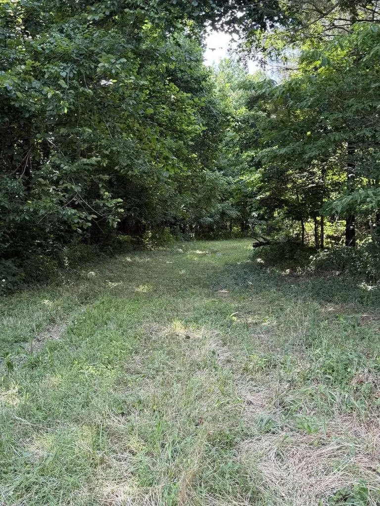 20533 Princeton Olney Road Princeton KY 42445