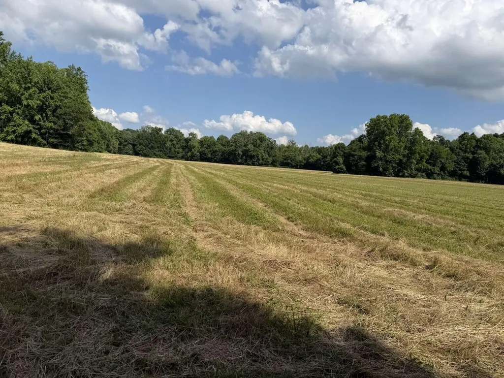 20533 Princeton Olney Road Princeton KY 42445