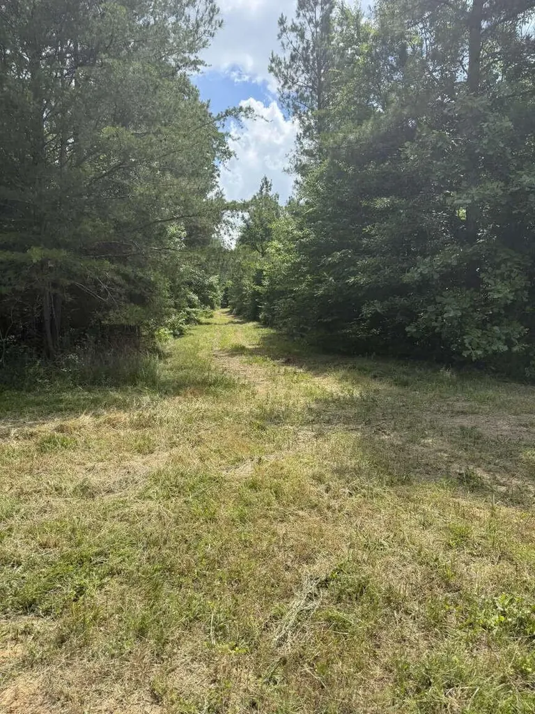 20533 Princeton Olney Road Princeton KY 42445