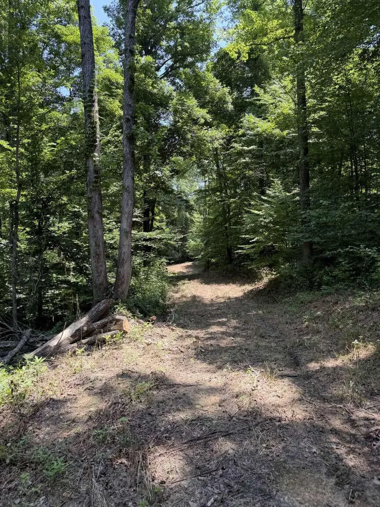 20533 Princeton Olney Road Princeton KY 42445