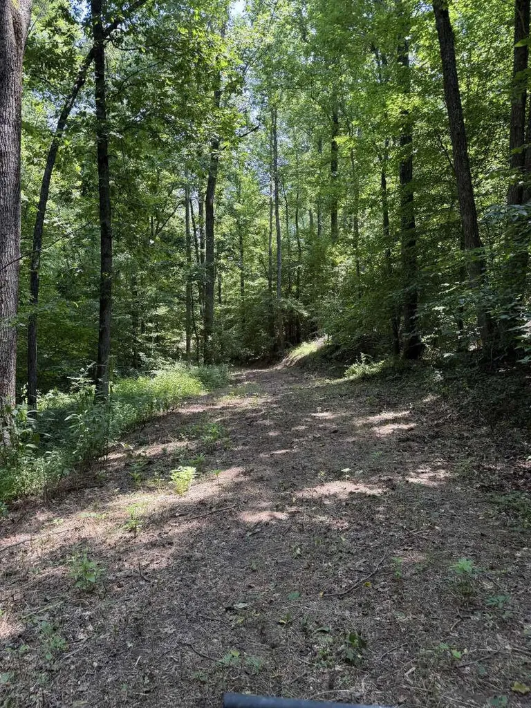 20533 Princeton Olney Road Princeton KY 42445