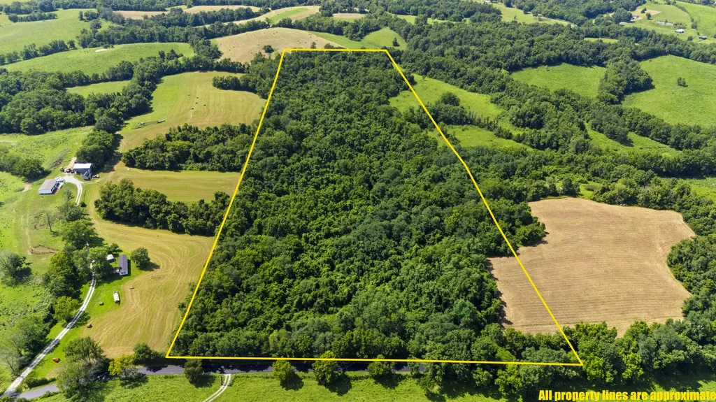 223 Plum Lick Road Paris KY 40361
