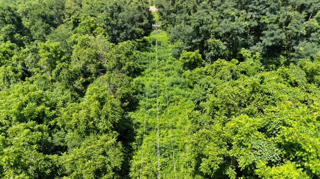 223 Plum Lick Road Paris KY 40361